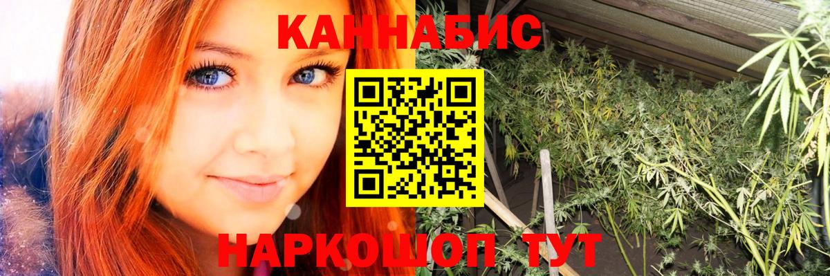 Бошки Шишки планчик Дербент